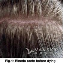 250710101422_Hair-Before Dying-s.jpg